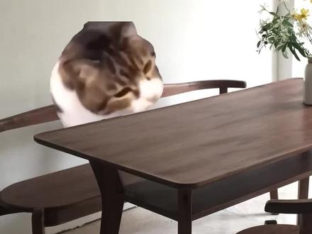 高考前后的家庭地位对比! #猫meme #香蕉猫
