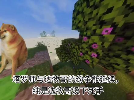 必须望边牧哥狠狠出口气#塔罗牌 #智商 #迷信
