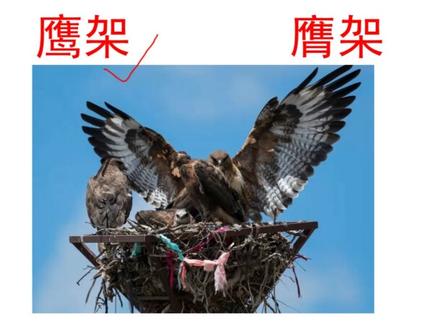 建造师市政必看错别字#建造师 #一建 #一级建造师 #二级建造师 #二建