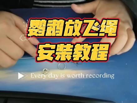 #玄凤鹦鹉 #鹦鹉放飞绳 #鹦鹉放飞绳穿戴方法 #虎皮鹦鹉 @抖音小助手