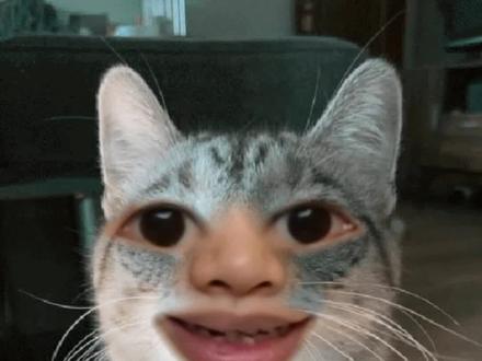 冒失???秃头???😰😰😰
宝子们,速来记单词!