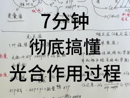 7分钟彻底搞懂光合作用全过程 #高中生物 #高考生物 #光合作用 #高三一轮复习 #生物必修一 #抖音精选高考应援联盟 #2026高考