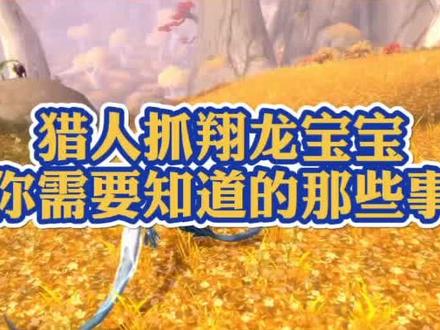 #魔兽世界 猎人抓翔龙宝宝知识点!怎么抓?能抓谁?在哪抓?#小软的游戏资讯 #暗影国度