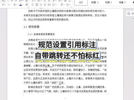 规范设置引用标注 自带跳转还不怕标红 #宏智树AI #大学生 #毕业季 #论文格式 #降AIGC