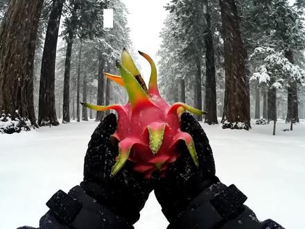 你被困极寒森林,十二星座决定你的庇护所!-上
#青年创作者成长计划 #十二星座 #庇护所建造 #助眠 #ai创作浪潮计划