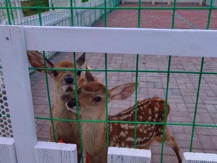 娱乐项目呦呦呦#富锦市万亩水稻公园