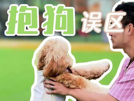 别再这样抱狗了! 9成养狗人抱狗姿势都是错的!拎腋下伤关节,举高高恐高,你以为是爱其实是害。一招学会正确抱法#狗狗 #养狗经验分享 #养狗 #狗狗健康 #科学养宠