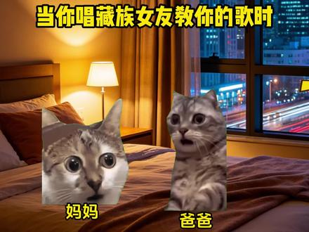 当你唱藏族女友教你的歌时#猫meme #歌曲Bumola