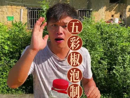 五彩泡椒的腌制方法 今天教大家最简单的五彩泡椒做法,口感非常香脆。#广西五彩椒怎么泡制 #辣椒 #五彩椒 #五彩泡椒