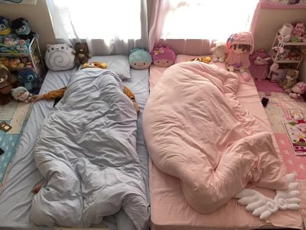 周末宅家跟姐姐打造人类狗窝🏠 #宅家 #温馨的小窝 #电热毯