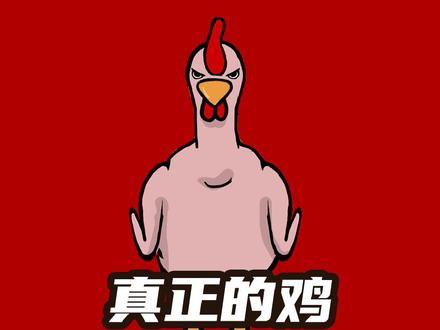 一只活了500年的鸡,拯救了一座城市… #原创动画 #二次元动漫 #鸡