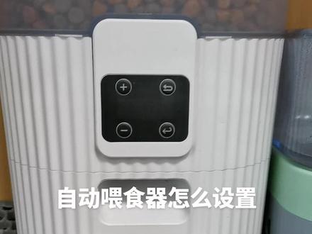 怎么设置自动喂食器#宠物投食器 #宠物用品推荐官 @DOU+小助手