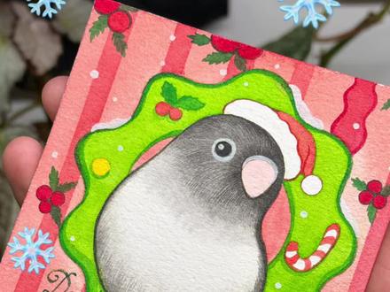 🍎圣诞小鸡🎄 • ᴥ •🎄🍎
#彩虹小鸡健康宝#牡丹鹦鹉
#牡丹鹦鹉日常