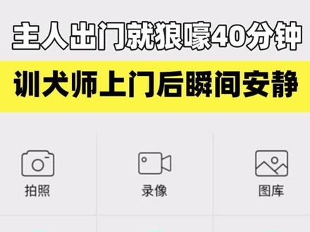 主人出门就狼嚎40分钟的贵宾泰迪狗狗,训犬师上门后瞬间安静#泰迪 #训犬 #萌宠出道计划 #科学养宠攻略