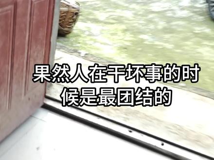 在坑人的时候,所有人就显得格外团结又有默契 #霍麻