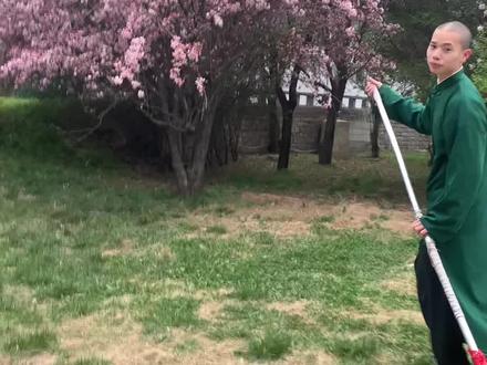 看我的猴子望月#延烛 #简单猴棍