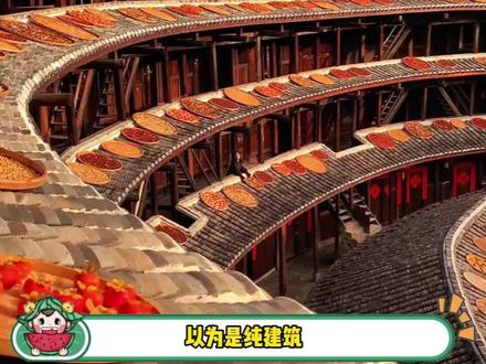 在这里真的能说打扫不干净卫生漾银笑幻#福建土楼 #旅游 #内容过于真实 #娱乐评论大赏