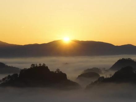 香江茗苑茶旅体验是躲避夏日高温的好去处。来这。亲身体验一泡大红袍,是怎样做出来的。#武夷山旅游#香江茗苑#茶旅研学#福建高温#茶生活