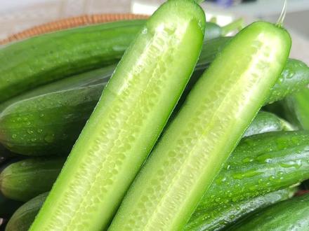 不用削皮直接吃的无刺水果小黄瓜 #黄瓜 #水果黄瓜 #好吃