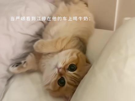 严峫:一直“勾引”我
#破云 #严峫 #江停