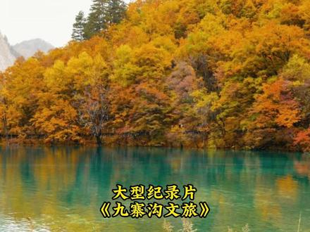 九寨沟文旅你已急哭 #九寨沟 #我的世界 #你已急哭