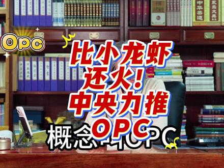 大学生别愁找工作!OPC 一人公司来了,政府扶持 + 免税 + 免房租