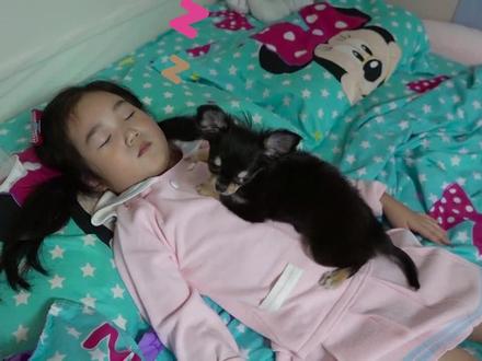 韩国小女孩和爸爸用巧克力球制作美味冰激凌玩具亲子互动趣味游戏