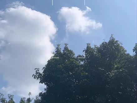 路人指哪我去哪,今天挑战的是拼豆!#拼豆#街头挑战#E人#内容过于真实