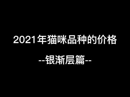 2021年猫咪品种的价格之银渐层篇#猫品种 #养猫 #猫知识 @DOU+小助手