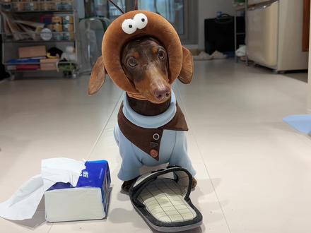 小狗机关枪~(纸巾萝卜挑战) @超级无敌大开门 #万物可爱计划 #萌宠认物挑战 #萝卜纸巾猫咪模仿挑战#晒出你的狗凝时刻