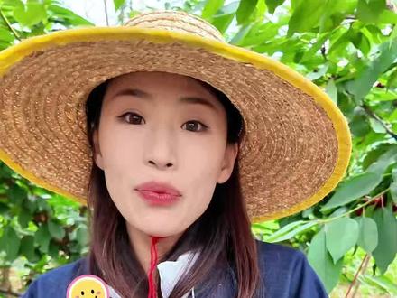 日常养生小鲜果 美早樱桃承包全家健康吃法 大连美早樱桃应季新鲜上市,颗颗饱满透亮,脆甜爆汁,风味天然浓郁,适合全家老少日常享用。宝妈带娃生活里,既能当作日常解馋小食,控卡无压力,又能轻松制作宝宝辅食,果泥、手指零食都合适,温和好吸收。健身人士把它当作天然运动补给,随时吃几颗,补水润喉、缓解疲惫;轻食达人用来搭配各类食材,制作营养代餐,口感丰富又饱腹。饭后食用几颗,还能舒缓油腻感,口感清甜怡人。樱桃含有多种天然有益成分,日常适量食用,丰富饮食层次,滋养日常状态。吃法简单百搭,无需繁琐加工,保留原生本味,自吃、待客、做辅食、做轻食都是绝佳选择。
#水果 #大樱桃 #樱桃 #美早樱桃