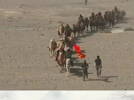 东天山来的骆驼队
(新疆哈密巴里坤——河南洛阳)