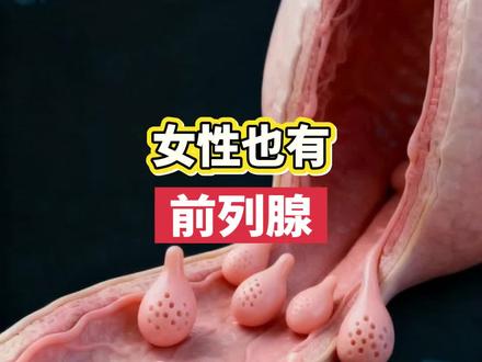 你知道女性也有前列腺么?→#科普讲解#人体奥秘#涨知识