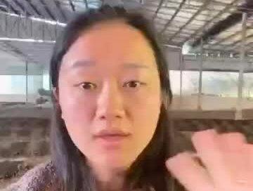 #蚯蚓 蚯蚓的6大作用