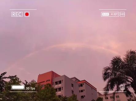 #杨溯原著 #督主有病
逻辑鬼才啊🤣🤣🤣