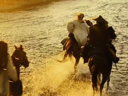 江湖一程,有君好评,不虚此行!#电影镖人