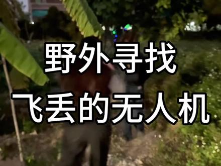 无人机撞到树飞丢了 记住这三点 不要着急 不要紧张 联系客服#无人机推荐 #第一次飞无人机#无人机飞丢 #寻找无人机 #新手无人机推荐