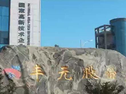 丰元股份一季度净利同比预增295.23%-336.83%#新能源