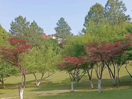 就是这时候,节目中途停止要求重拍。孟拂笑了站在镜头下慢条斯理扯下领口边的麦,不紧不慢扔到吕雁脸上“你爹不录了”