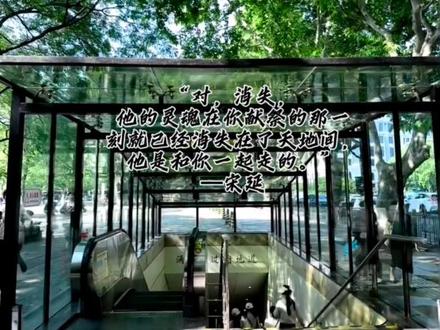 #阴生女,龙王妻#龙王聘#小说#王权月初#薛景瑶#虞卿洲