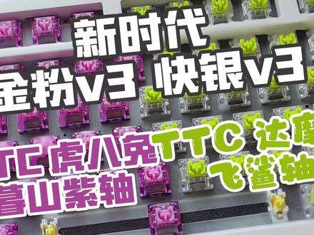 (抽)小快银小金粉横空出世 新结构小弹片有什么优势 暮山紫轴 飞鲨轴讲解
