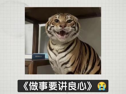 【绿绿大课堂】:做事要讲良心 #科普#逆天#抽象