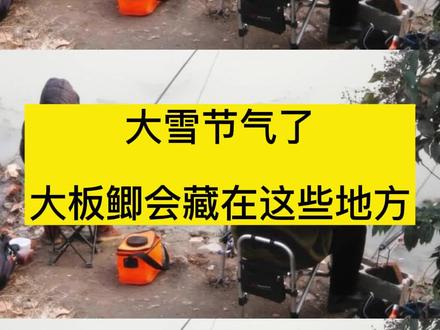 大雪节气了大板鲫会藏在这些地方#冬钓鲫鱼 #冬钓技巧 #大板鲫