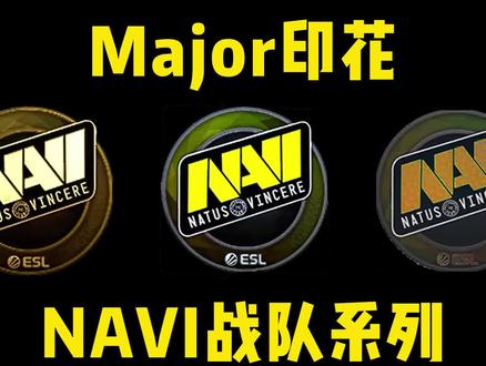 Major印花对比,看看历届NAVI印花有什么变化~ #csgo印花 #navi #网易buff