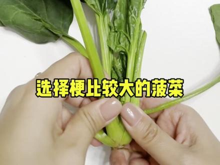 科学小实验🧪菠菜吹泡泡🫧,娃玩到停不下来,2-6岁低成本高质量早教🔥#早教游戏 #科学实验 #亲子互动 #早教益智 #专注力