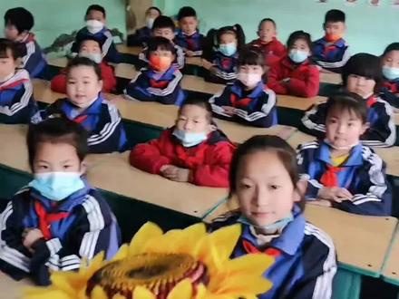 扩句法写向日葵🌻,视频同款书籍在橱窗!