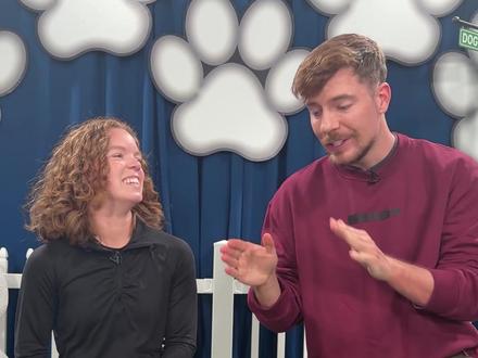 狗狗会喜欢钱还是牛排? #mrbeast #野兽先生 #狗 #美元