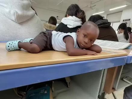 不好好在非洲 跑来我桌子上干啥#非洲十二少 #十二少