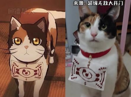 【一分钟懂梗】萝卜纸巾猫咪 #萝卜纸巾猫咪 #猫咪 #梗 #热点 #搞笑