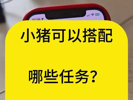 小猪如何搭配其他任务?